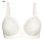 سوتین فنردار زنانه شاندرمن مدل 5080-2454-00GT