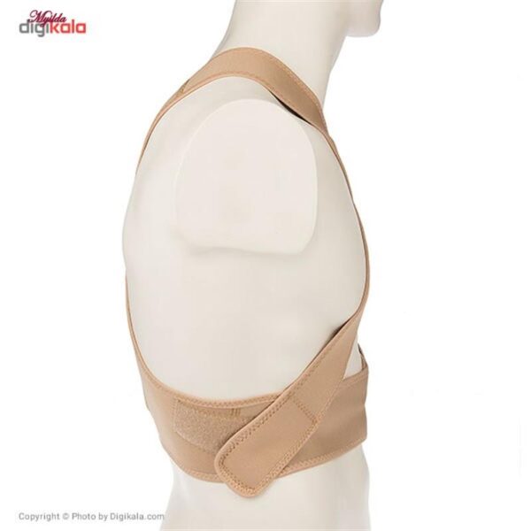 قوزبند پاک سمن مدل Neoprene With Bar سایز متوسط