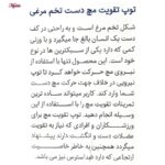 توپ تقویت مچ پاک سمن مدل تخم مرغی
